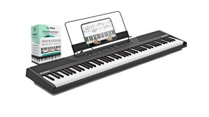 Alesis Concert